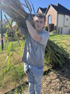 An employee carrying a large bundle of yard waste for removal by Waste Walkers Dispatch in Springfield, MO.