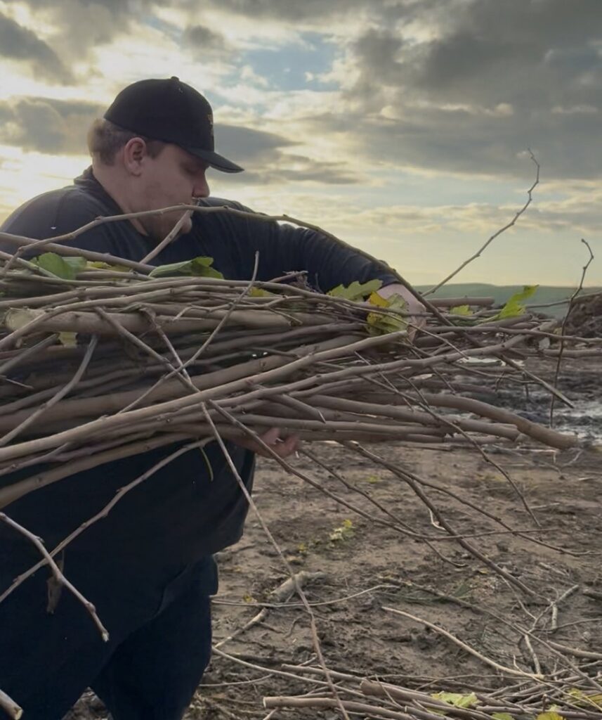 An employee carrying a large bundle of tree branches for yard waste removal by Kern County Junk Removal in Bakersfield, CA.