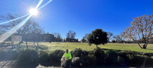 An employee and a dog next to a pile of Christmas trees for recycling by Retriever Valet Trash Service LLC in Memphis, TN.