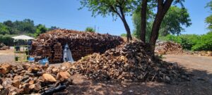 Employees processing and stacking firewood and logs with equipment at Personal Touch Tree Service in Dallas, TX.