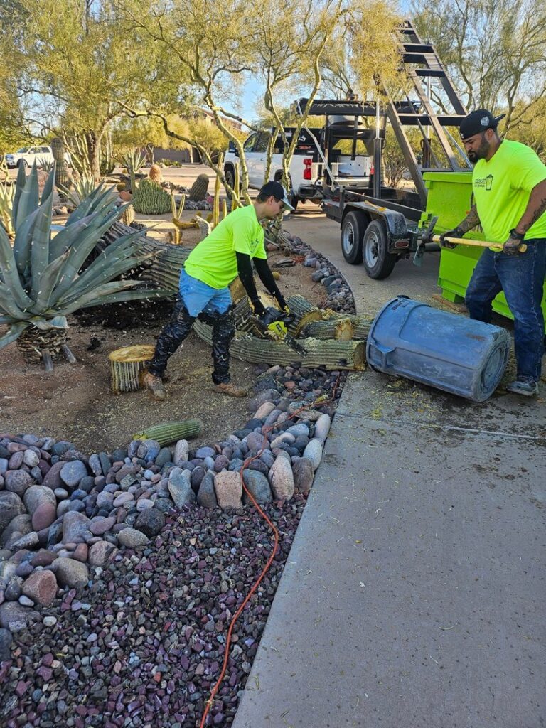 CzechList Junk Removal employees actively removing large cactus pieces as yard waste in Scottsdale, AZ.