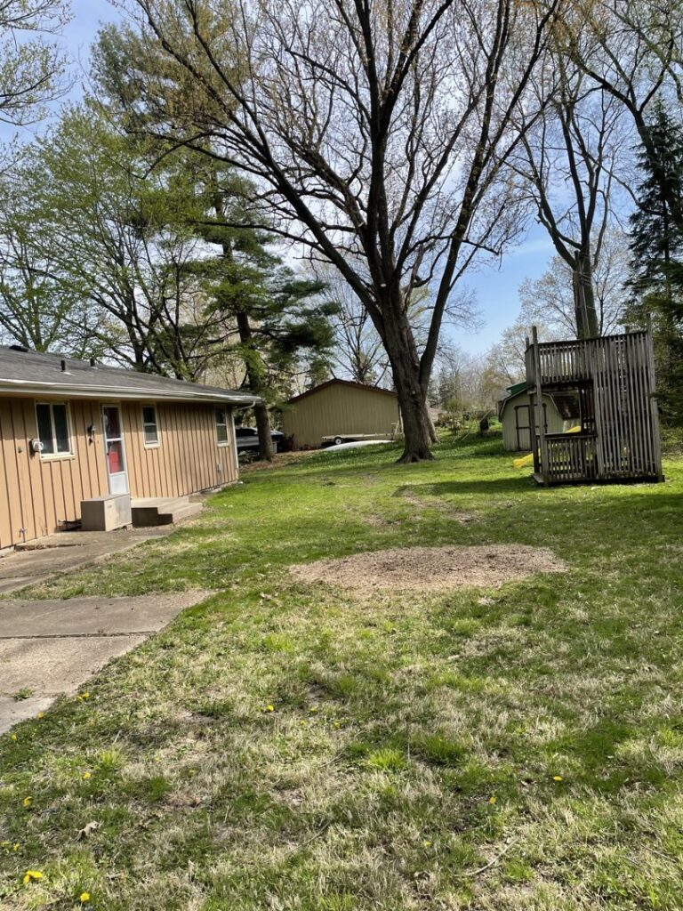An empty patch of ground where a tree was removed, showcasing a completed tree removal service by Zepeda,LLC tree and bush removal in Rockford, IL.