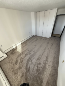 An empty room showcasing new carpet installation by Johnson's Flooring Solutions LLC in Rochester, MN