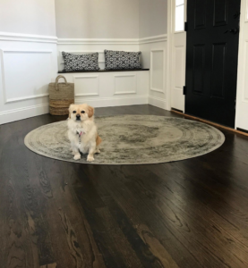 An inviting entryway with a custom built-in bench and wainscoting installed by O'Shaughnessy Construction in Salem, NH.