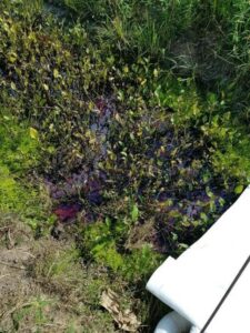 An environmental spill with a reddish sheen in water, requiring cleanup by Environmental & Hazmat Services in Ashford, AL.