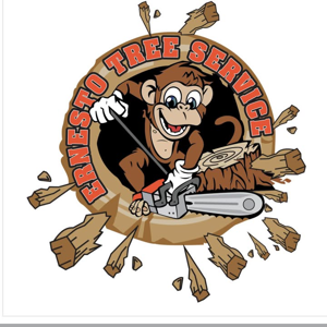 Ernesto tree service & landscaping LLC