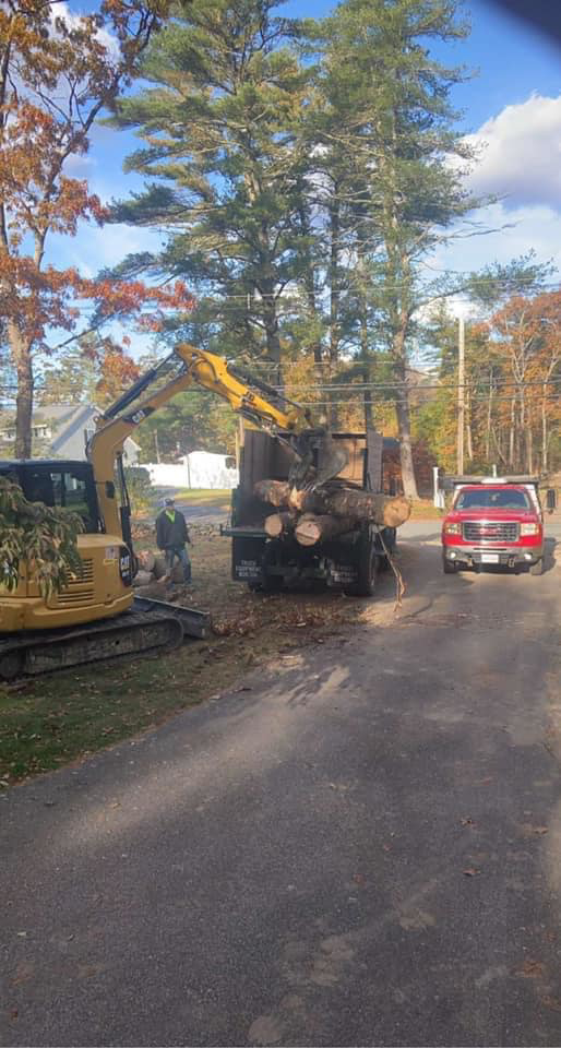 An excavator loading large tree logs onto a truck for 365 Trees in East Providence, RI.