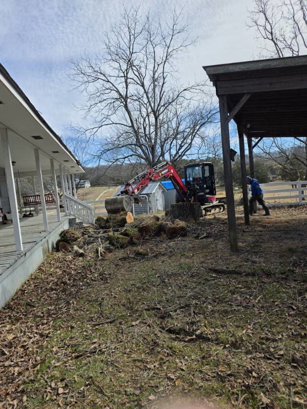 An excavator moving large tree logs during a tree removal cleanup by Ortiz Tree Service in East Ridge, TN.