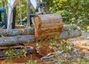 An excavator moving large tree logs as part of a tree removal cleanup by Rhode Island Tree Removal in Providence, RI.