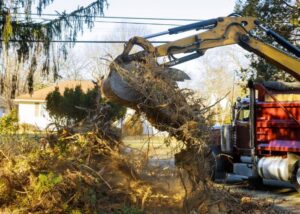 An excavator removing a large pile of tree roots and debris after tree removal by Pittsburgh Tree Trimming & Removal Service in Pittsburgh, PA.