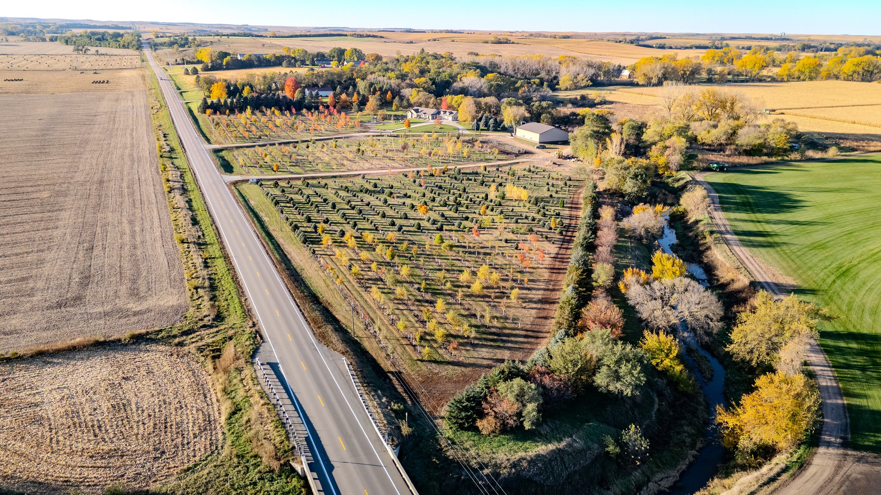 An expansive aerial view of a tree nursery with neatly arranged rows of trees by Hartington Tree in Yankton, SD.