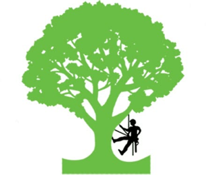 Explore Tree Service
