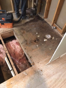 Exposed subfloor and insulation during a renovation project by Daley Construction, LLC in Tampa, FL.