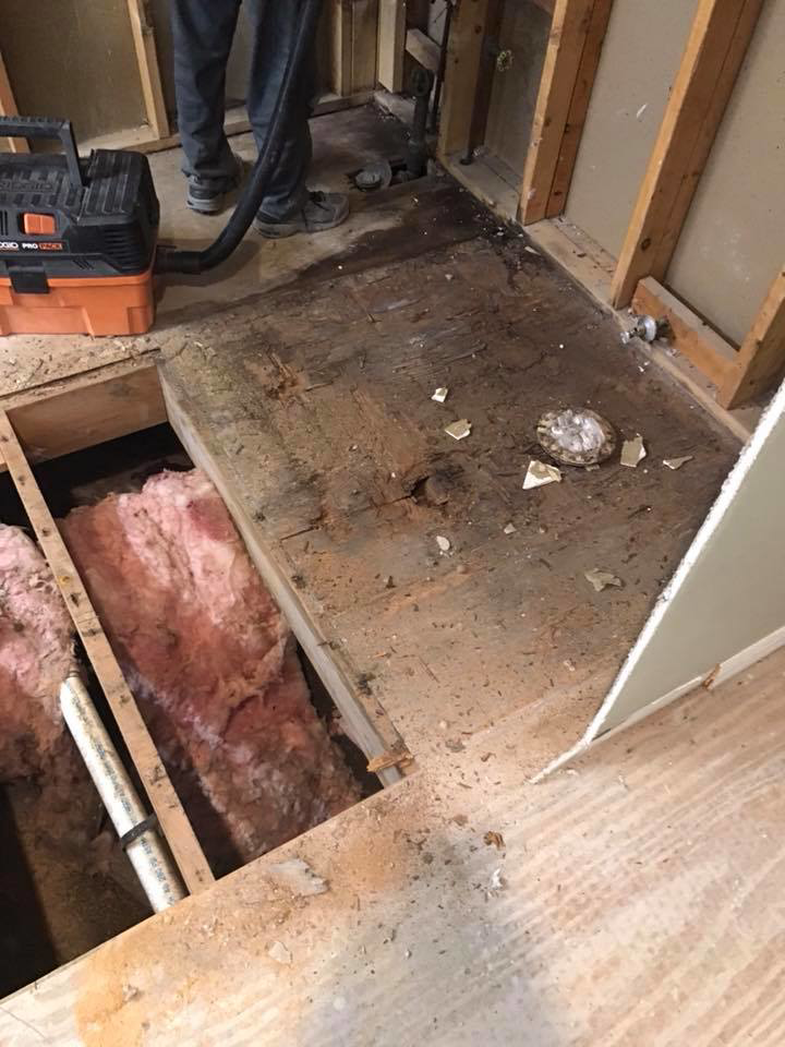 Exposed subfloor and insulation during a renovation project by Daley Construction, LLC in Tampa, FL.