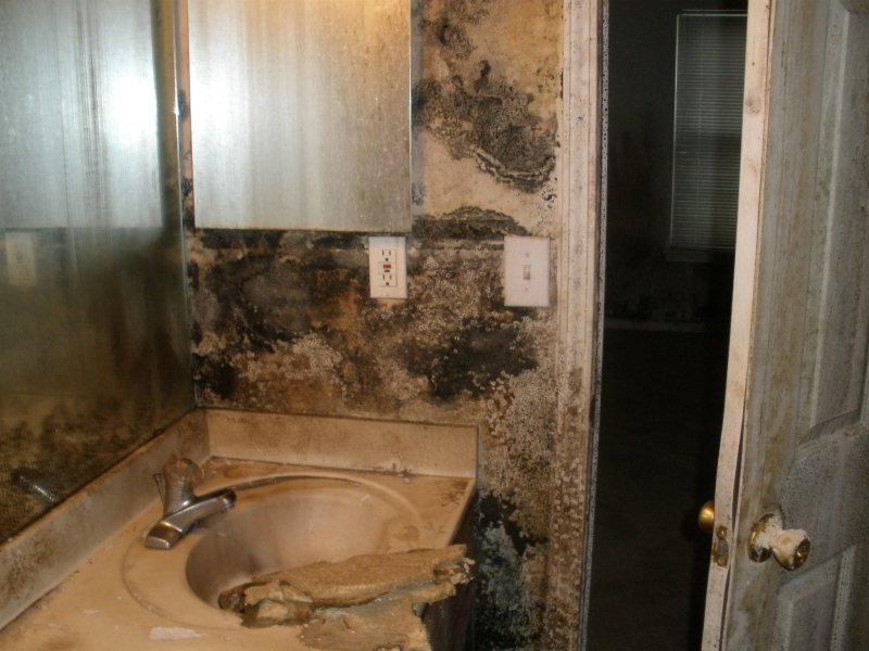 An extensive mold problem in a bathroom, requiring professional remediation from Paul Davis Restoration of Charlotte, NC.