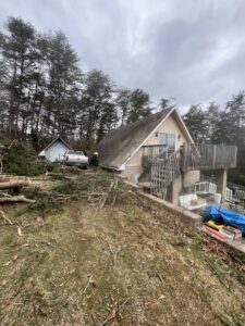 Extensive tree debris and fallen branches surrounding a house, indicating a major cleanup job by Elite Tree Service in Knoxville, TN.