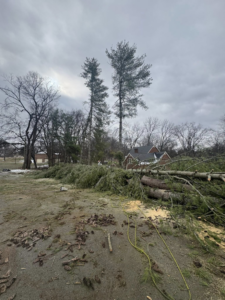 Extensive tree removal work with logs and branches covering the ground by B&D Tree Service and Landscaping in Dallas, TX.