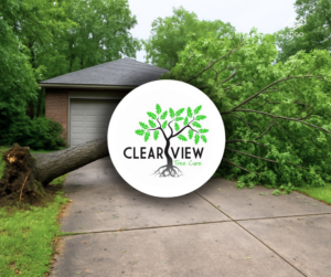 A large fallen tree blocking a residential driveway, ready for removal by Clear View Tree Care in Janesville, WI.
