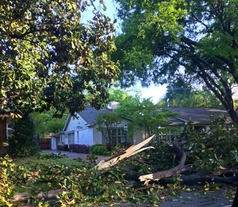 A large fallen tree branch blocking a residential road, requiring cleanup by Personal Touch Tree Service in Dallas, TX.