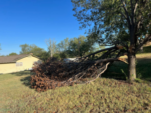 A large fallen tree branch on the ground next to a house, ready for cleanup by Get Er Done Tree Service in Salina, KS.