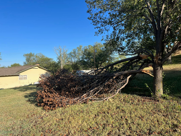 A large fallen tree branch on the ground next to a house, ready for cleanup by Get Er Done Tree Service in Salina, KS.