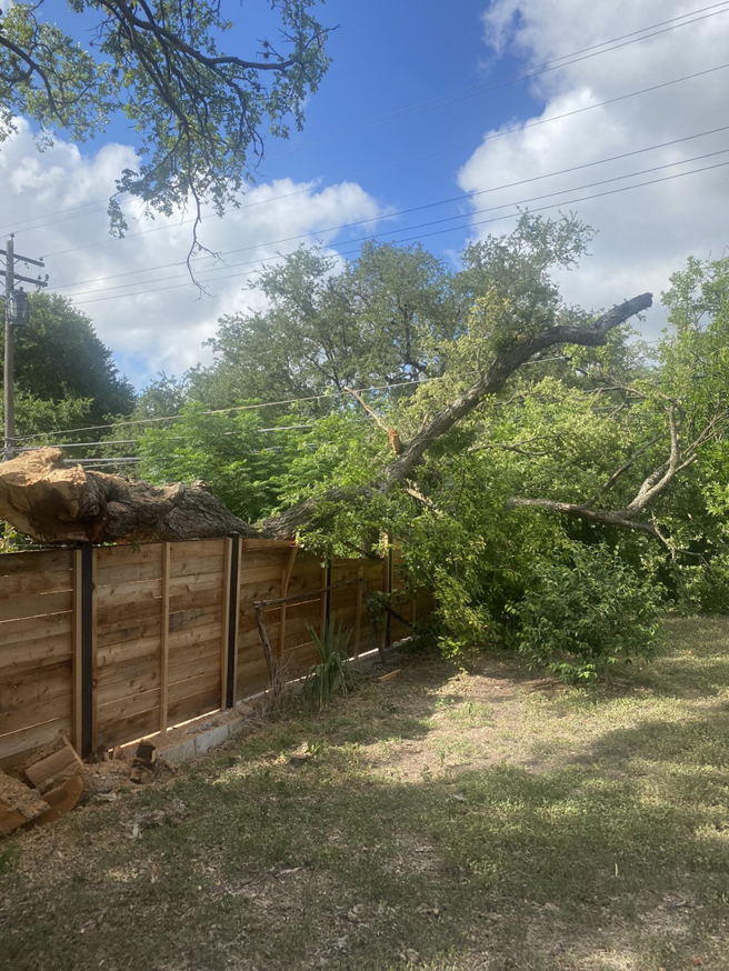 A large fallen tree branch over a wooden fence, indicating tree removal or storm cleanup by Mayita tree service and landscaping in Austin, TX.