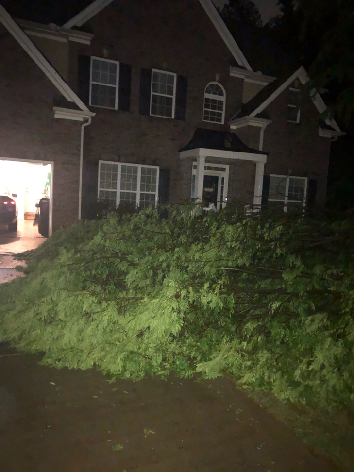 A large fallen tree branch blocking a driveway, indicating emergency tree removal by Smiles Tree Service in Atlanta, GA.