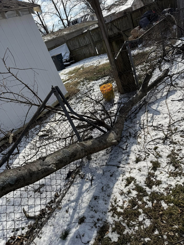 A large fallen tree branch resting on and damaging a chain-link fence, a common emergency tree service call for Grounds and Tree Care in Nashville, TN.