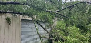A large fallen tree branch resting on a building, requiring emergency tree service from De Paz Tree Service in Katy, TX