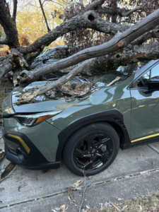 A large fallen tree branch on a car, showing storm damage requiring cleanup by BG Tree Service, LLC in Cary, NC.