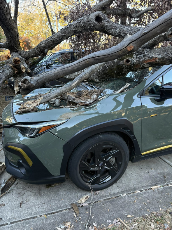 A large fallen tree branch on a car, showing storm damage requiring cleanup by BG Tree Service, LLC in Cary, NC.