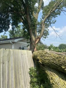 A large tree branch that has fallen onto a wooden fence, requiring removal by Crockett's Tree Service in Lafayette, IN.