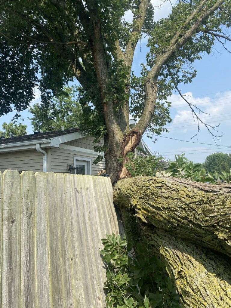 A large tree branch that has fallen onto a wooden fence, requiring removal by Crockett's Tree Service in Lafayette, IN.