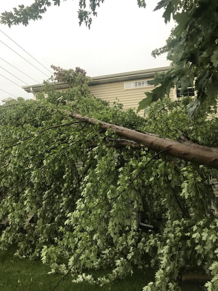 A large fallen tree branch resting on a house, requiring removal by Castros Tree Service in Spring, TX.