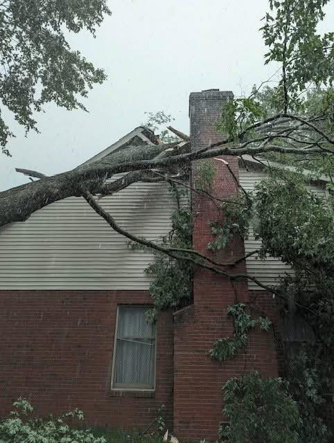 A large tree branch fallen onto a house, showing storm damage that D.J. Tree Service in Evansville, IN can help remove.