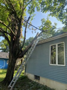 A large tree branch fallen onto a house roof, requiring emergency tree service from Woodchopper's Tree Service in Lennon, MI.