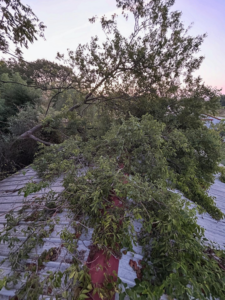 A large fallen tree branch resting on a residential roof, requiring emergency service from Hickman Tree Service in Orangeville, PA.