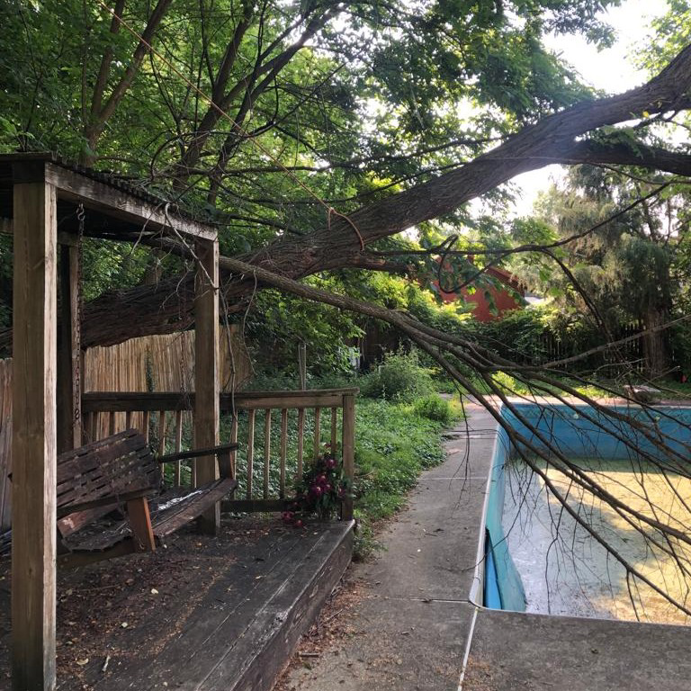 A large tree branch resting on a wooden structure, removed by Benigno Perez Tree Services in Louisville, KY.