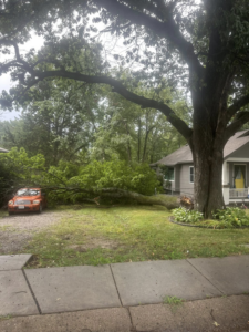 A large fallen tree branch in a residential front yard, indicating a tree removal job for Moore's Affordable Tree Trimming And Removal in Kansas City, MO.