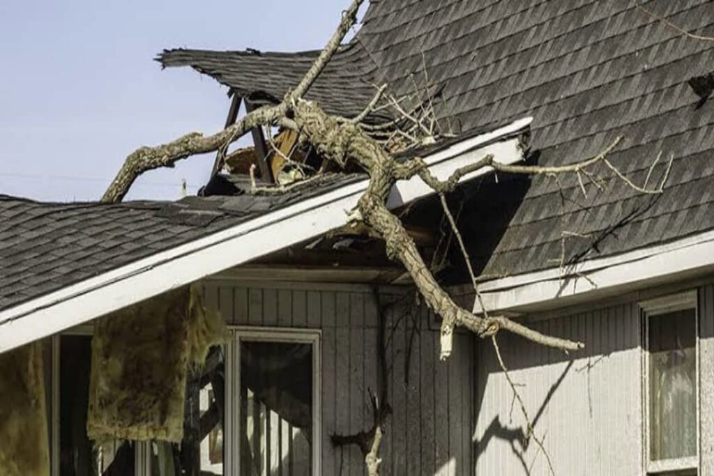 A large tree branch fallen onto a roof, causing damage and requiring emergency tree service from JN Services LLC in Des Moines, IA