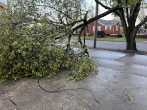 A large fallen tree branch blocking a sidewalk after a storm, a common cleanup service provided by The Handy Man of Evansville in Evansville, IN.