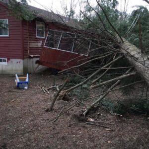 Fallen tree branches on a house, indicating an emergency tree removal job by Collins Tree Service, Inc. in Hooksett, NH.