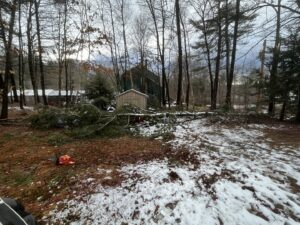Fallen tree branches and debris in a snowy backyard, ready for yard waste removal by Tj's junk removal LLC in Derry, NH.