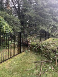 Fallen tree branches lying over a black metal fence, indicating storm damage cleanup or tree removal by Grind Time Tree Service in Wilmington, DE.