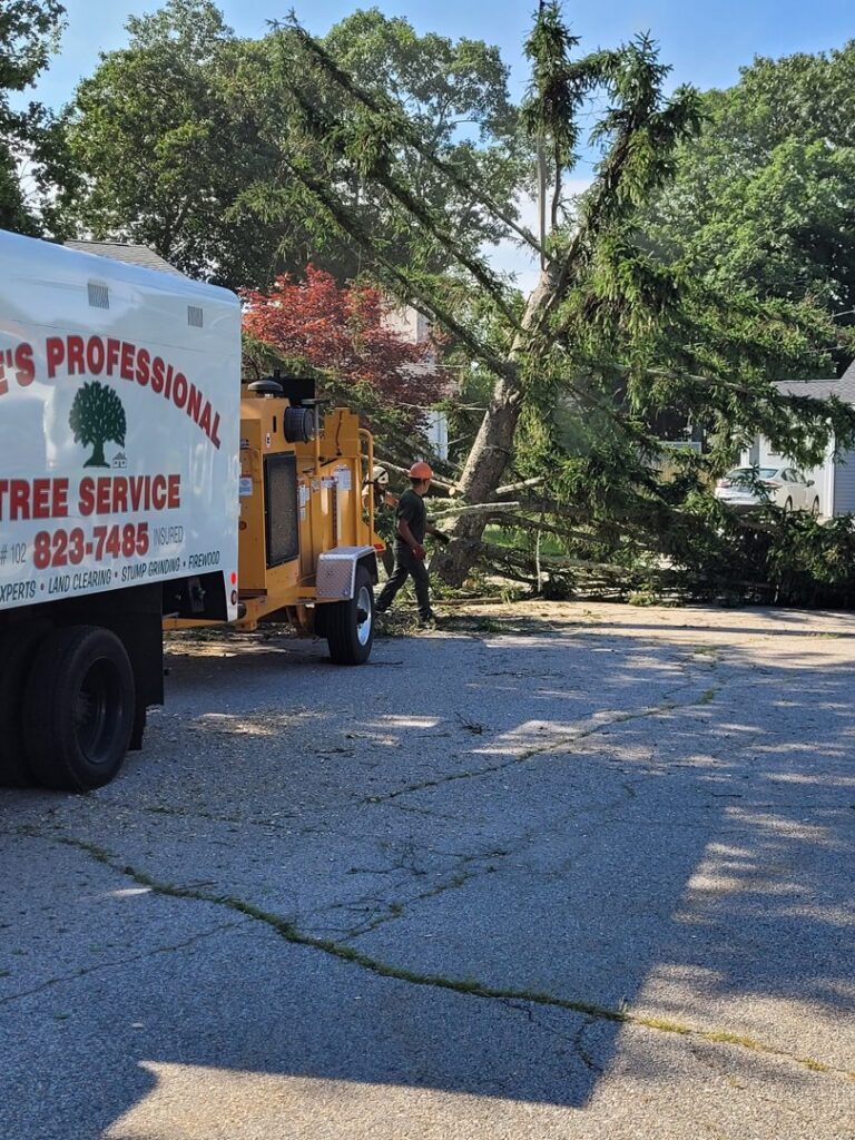 A large fallen tree being processed by a wood chipper during a cleanup operation by Mike's Professional Tree Service in Coventry, RI.