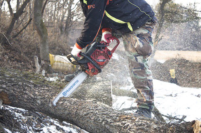 A tree service worker using a chainsaw to cut a fallen tree trunk during winter cleanup for Little Rock Tree Service Pros in Little Rock, AR.