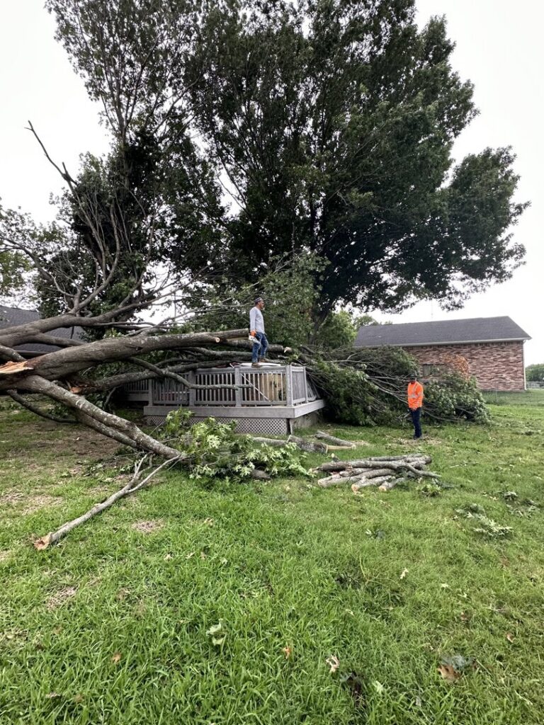 Workers cleaning up a large fallen tree on a residential deck and yard for Parker TX Tree Service in Plano, TX.