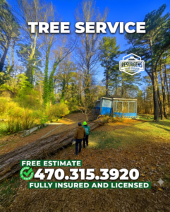 Two tree service workers inspecting a large fallen tree trunk for clearing by Resurgens Tree Service in Flowery Branch, GA.