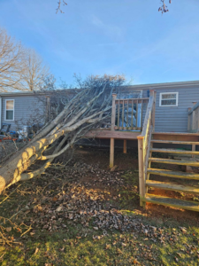 Fallen tree next to a house and deck, showing storm damage cleanup by Poppen Tops Tree and Home Solutions in Kingsport, TN