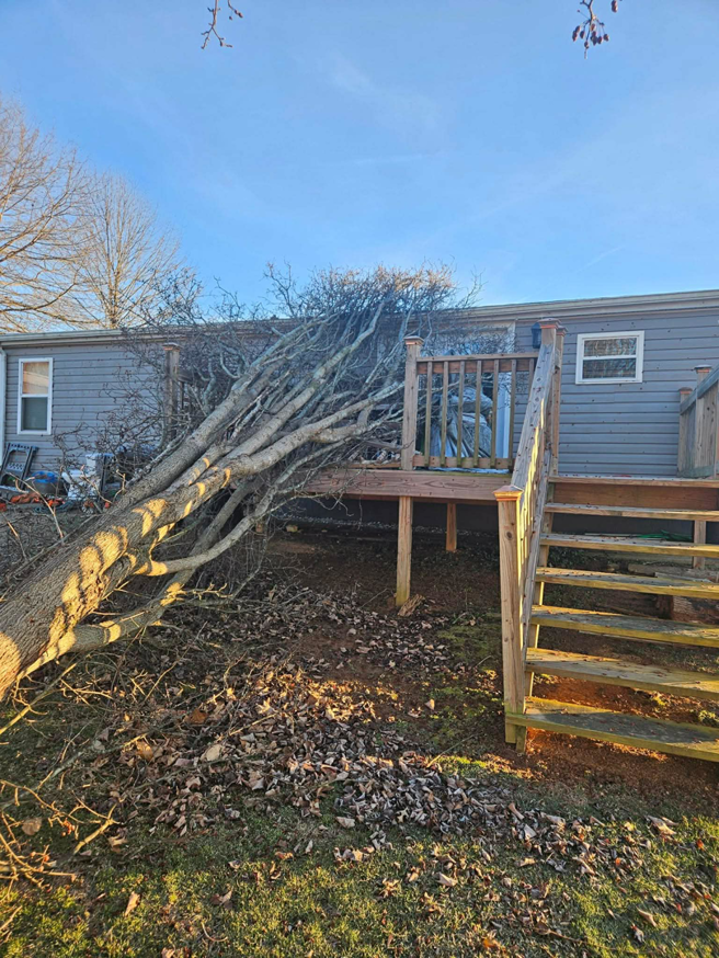 Fallen tree next to a house and deck, showing storm damage cleanup by Poppen Tops Tree and Home Solutions in Kingsport, TN